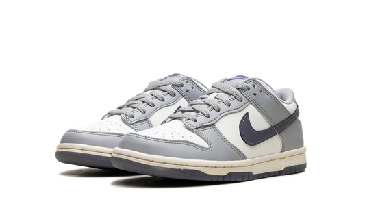 Dunk Low "Light Carbon" FB9109 101