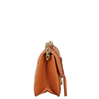 Dior Dioraddict Small Flap Bag Studded