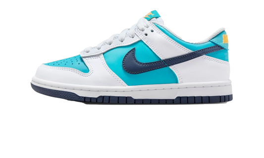 Dunk Low "Dusty Cactus" HF4794 345